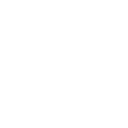 Telecamera intraorale